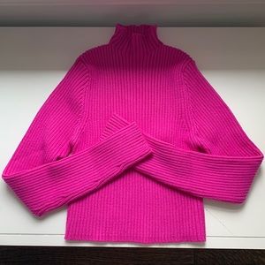 Pink cropped long sleeve turtleneck from Zara! Barely worn.